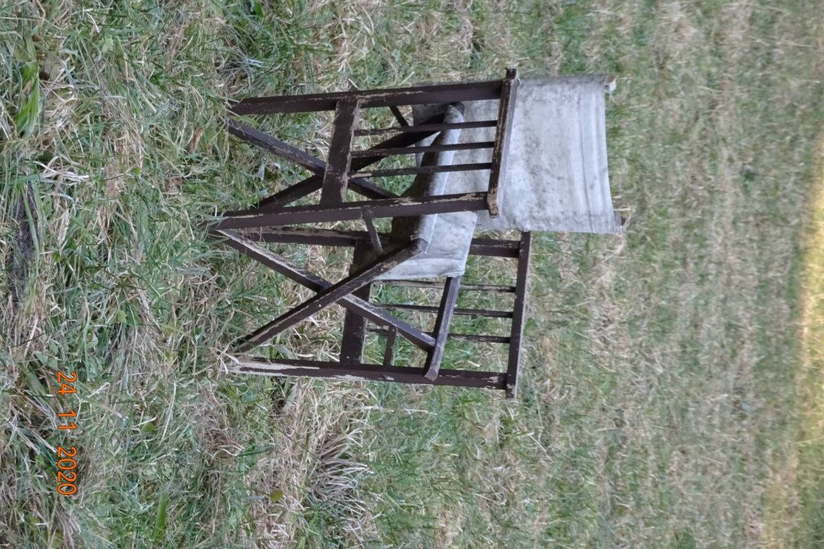 DSC00728